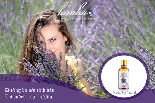tinh dầu oải hương Lavender Lam Hà