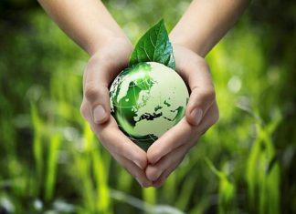 Mẹo vặt công dụng nước rửa chén bát Lam Hà Nước rửa bát Lam Hà