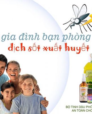 Cùng gia đình phòng chống dịch sốt xuất huyết