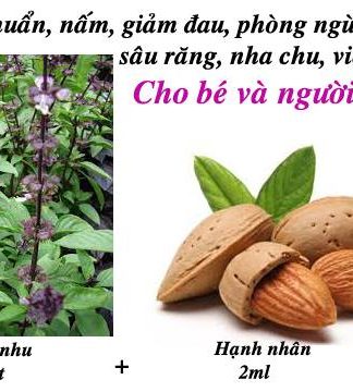 Giảm đau và hết viêm lợi với tinh dầu hương nhu và hạnh nhân