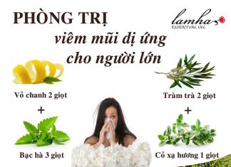 Hỗn hợp pha chế tinh dầu để chống viêm mũi dị ứng, sổ mũi, ngạt mũi