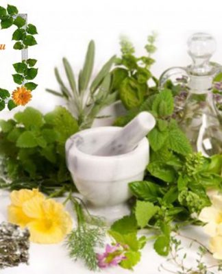 Xông hơi tinh dầu trị liệu và làm đẹp