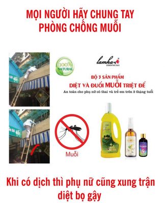 Chung tay phòng chống muỗi