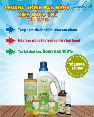 Giải pháp chống muỗi hiệu quả và không độc hại