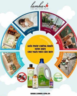 Giải pháp chống muỗi toàn diện cho ngôi nhà của bạn