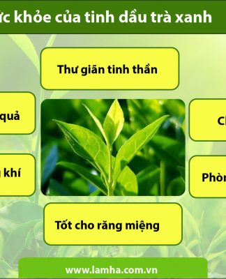 Lợi ích cho sức khỏe của tinh dầu trà xanh