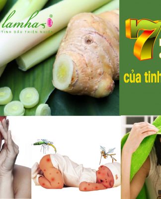 Tinh dầu sả chanh và những lợi ích cho sức khỏe