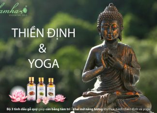Yoga – thiền định và bộ 3 tinh dầu gỗ quý
