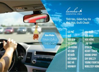 Cách lựa chọn tinh dầu treo xe phù hợp