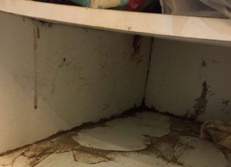 Phương pháp phòng chống mối đối với đồ gỗ trong nhà