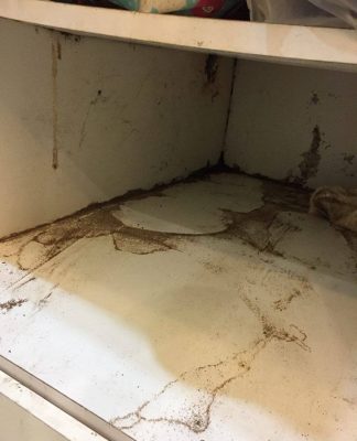 Phương pháp phòng chống mối đối với đồ gỗ trong nhà