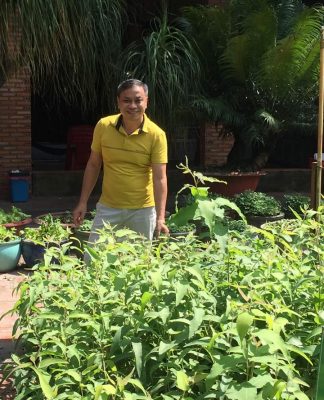 Tìm hiều về cây bạch đàn chanh