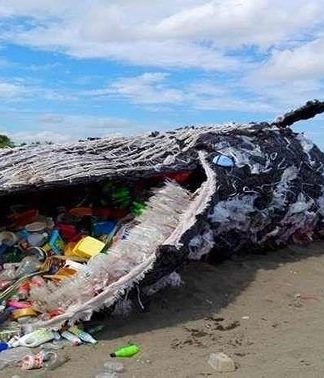 Bảo quản xương, răng khảo cổ dưới góc nhìn sinh thái nhân văn.