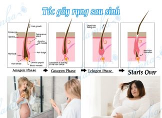 Bí quyết trị rụng tóc sau sinh với dầu thiên nhiên gội đầu hoa bưởi Rụng tóc sau sinh