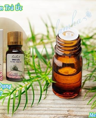 tinh dầu tràm trà Úc Melaleuca Alternifolia