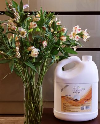 Nước rửa bát quế