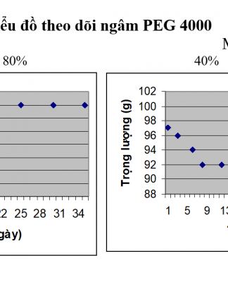BẢO QUẢN GỖ VÀ TRE NGẬM NƯỚC KHẢO CỔ