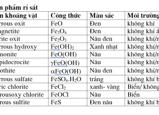 Một số kinh nghiệm về kỹ thuật bảo quản đồ sắt khảo cổ bằng phương pháp hoá học