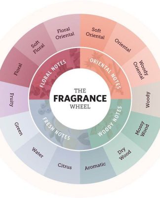 Tìm hiểu về bánh xe mùi hương (Fragrance Wheel) và tinh dầu thơm phòng banh-xe-mui-001